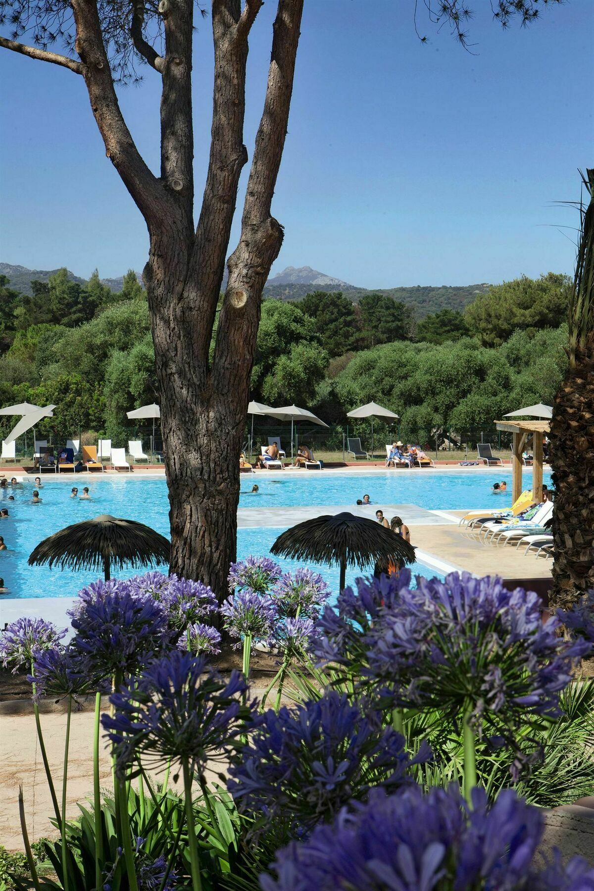 Hotel Belambra Clubs Belgodere - Golfe De Lozari Exterior foto